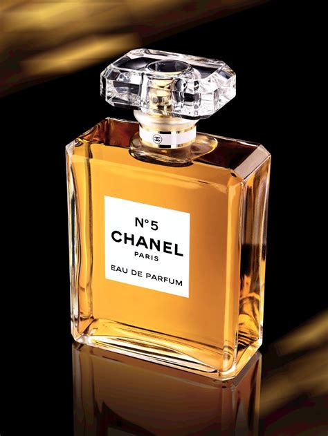 livre chanel 5|Chanel perfume and fragrance.